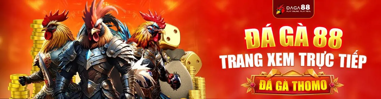 Sân đấu gà trực tuyến LT88 sôi động